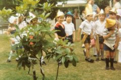 1981stjosephs004_jpg