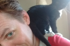 IMG_20161111_120730798