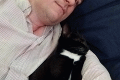 IMG_20161201_184237194-ANIMATION