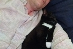 IMG_20161201_184239464