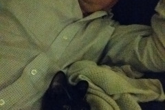 IMG_20170220_180320558