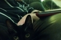 IMG_20170307_194505892