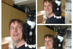 IMG_20170313_193828831-COLLAGE