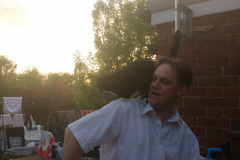 IMG_20170524_202441155