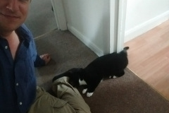 IMG_20170803_183606284_TOP