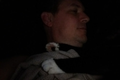 IMG_20170810_072717517