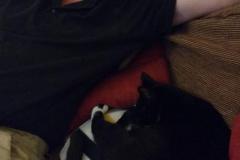 IMG_20170910_205507663