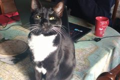 IMG_20171029_083743529