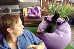 IMG_20180808_185709384