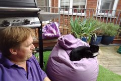 IMG_20180815_184250697