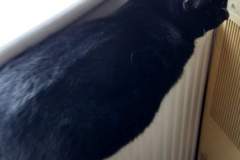 IMG_20200223_153631761_HDR